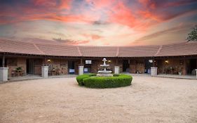 Mount High Luxury Stables